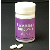 冬虫夏草菌糸体濃縮カプセル