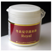 冬虫夏草菌糸体ROYAL
